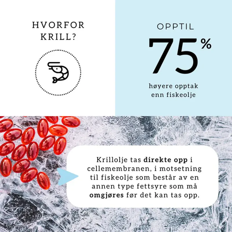 OMEGA3 KRILL, KOLIN & ASTAXANTHIN